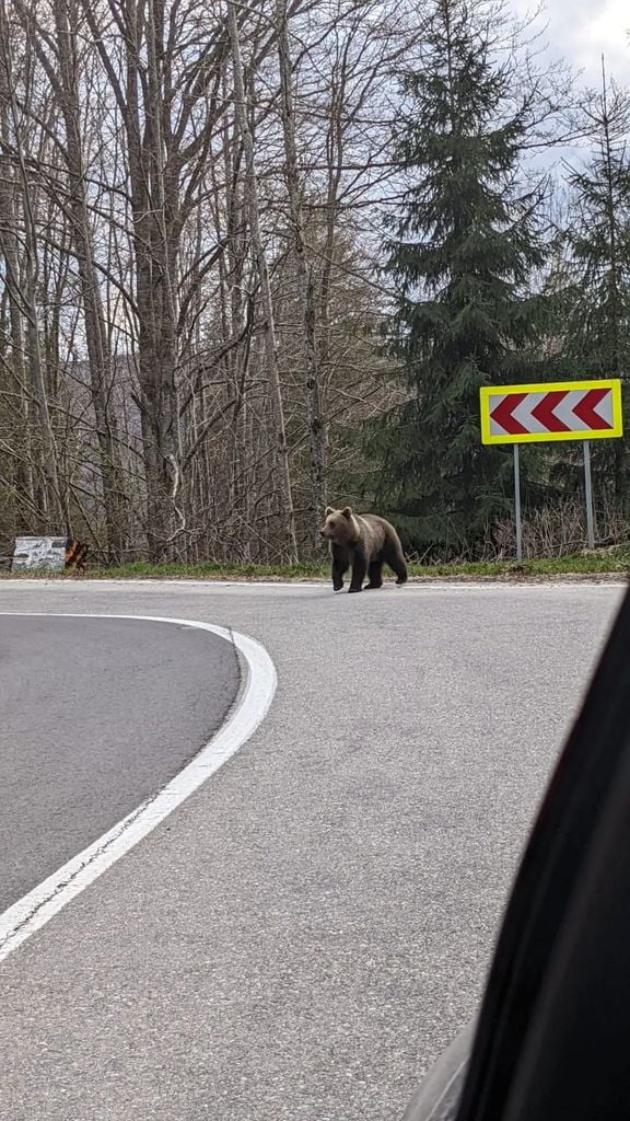 Transport w firmie spedycyjnej