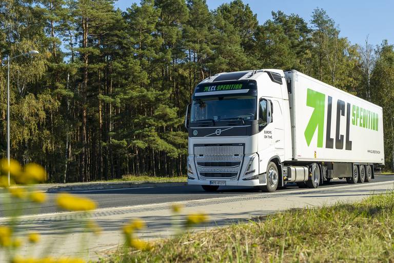 Domestic transport in lcl spedition